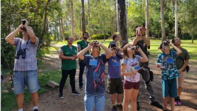 COAVES KIDS tem programação GRATUITA divulgada para os próximos meses de 2024