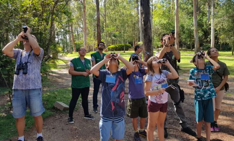 COAVES KIDS tem programação GRATUITA divulgada para os próximos meses de 2024