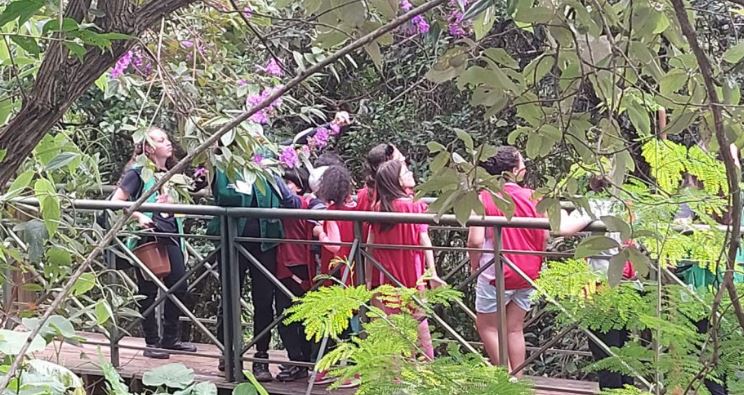FÉRIAS DE JULHO terá programação em 4 parques de Sorocaba