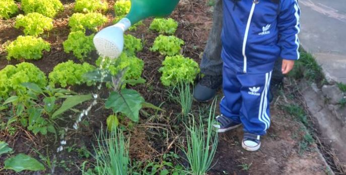 Centro de Educação cria HORTA para cultivo de verduras em 2024; CONFIRA
