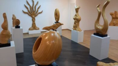 Mostra GRATUITA pode ser visitada a partir deste domingo (9) no Pátio Cianê