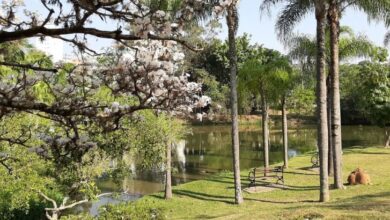 Estudantes podem fazer VISITAS MONITORADAS ao Parque da Água Vermelha em 2024