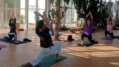 AULA GRATUITA DE YOGA acontece neste sábado (29) no Jardim Botânico; CONFIRA COMO PARTICIPAR