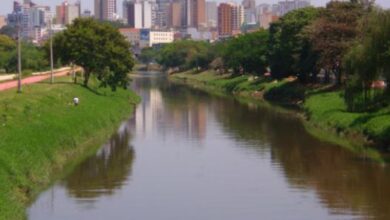 Oficina mostra BIODIVERSIDADE DO RIO SOROCABA para pessoas a partir dos 6 anos