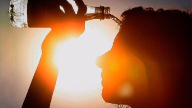 Estado de SP pode ter AUMENTO NAS TEMPERATURAS em 2024