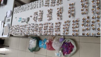 Ação da Polícia Civil de Sorocaba: Mais de 400 Porções de Drogas Apreendidas