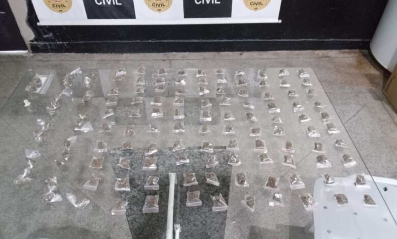 Polícia Civil de Salto de Pirapora Realiza Prisão e Apreensão de Armas na virada do ano