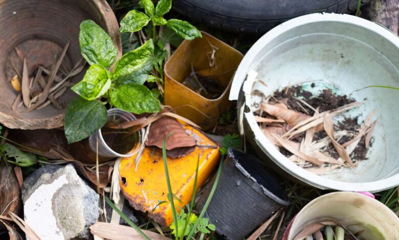 Sorocaba dá início à campanha contra a dengue em 2025: Mobilização para prevenir a doença