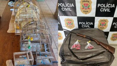 Polícia Civil prende suspeito por crime ambiental em Araçoiaba da Serra