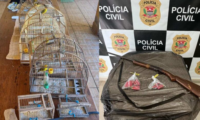Polícia Civil prende suspeito por crime ambiental em Araçoiaba da Serra