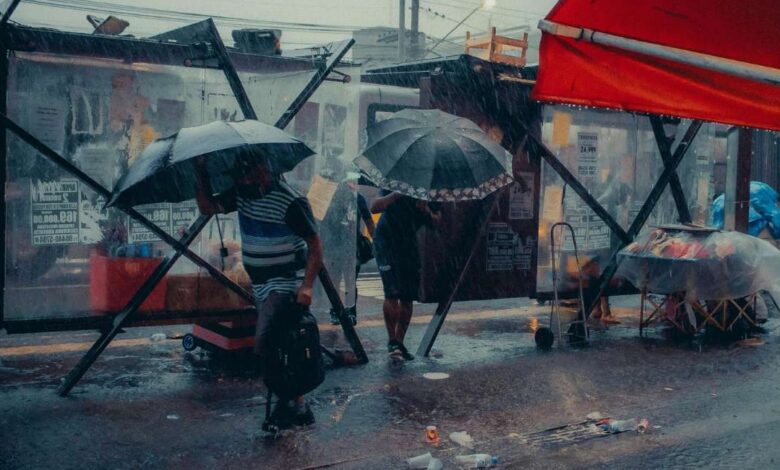 Temporal em Sorocaba provoca queda de árvores, danifica imóveis e causa transtornos em vários bairros
